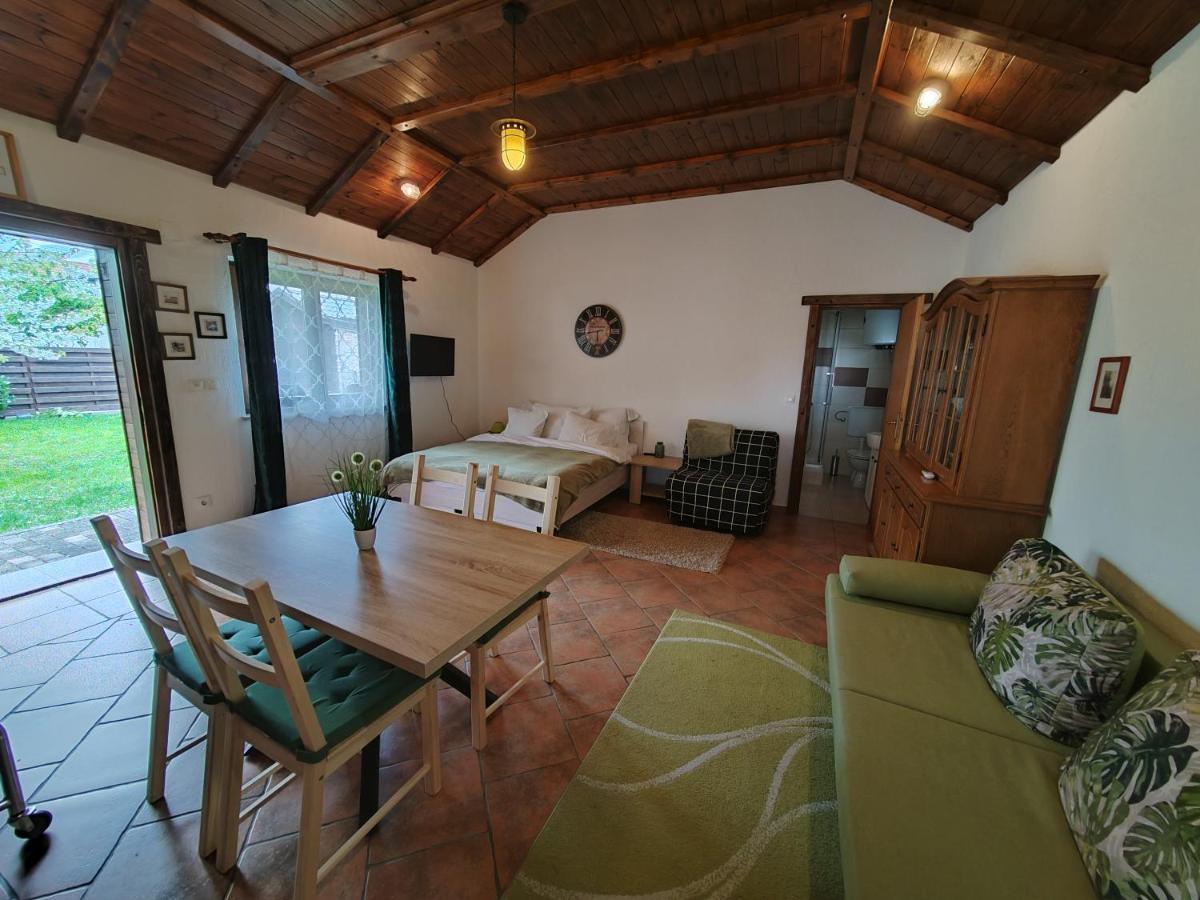 Studio Apartman Buteo Jastrebarsko Ngoại thất bức ảnh